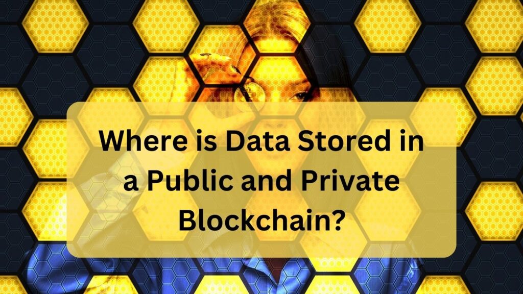 Where is Data Stored in a Public and Private Blockchain?