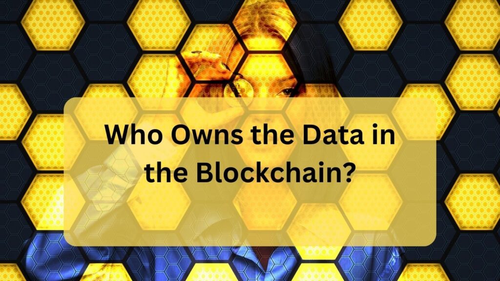 Who Owns the Data in the Blockchain?